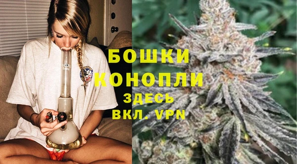 сатива Нея