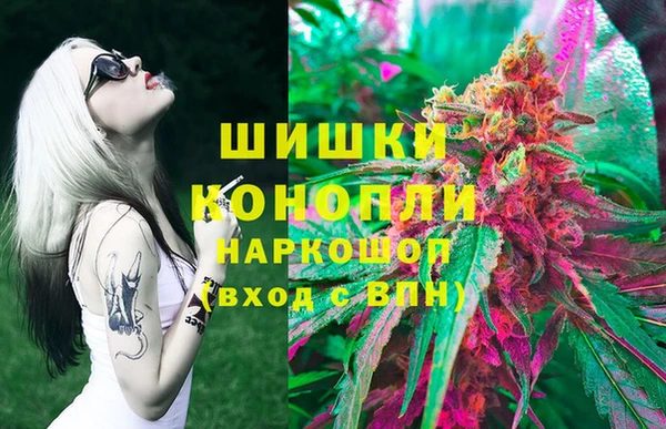 сатива Нея