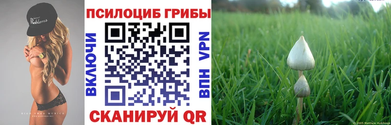 Галлюциногенные грибы MAGIC MUSHROOMS Карпинск