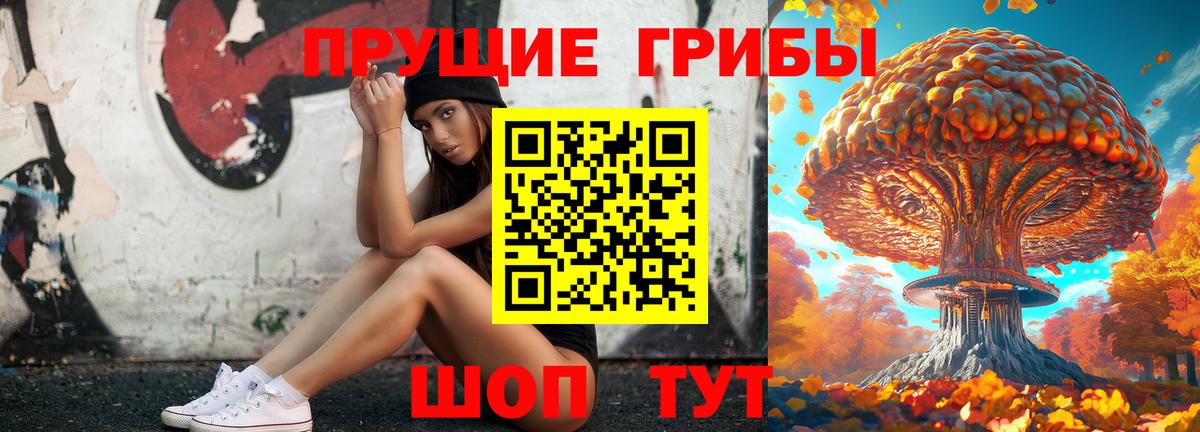 Галлюциногенные грибы Cubensis  Псилоцибиновые грибы Psilocybine cubensis  Карпинск  Вход с VPN 