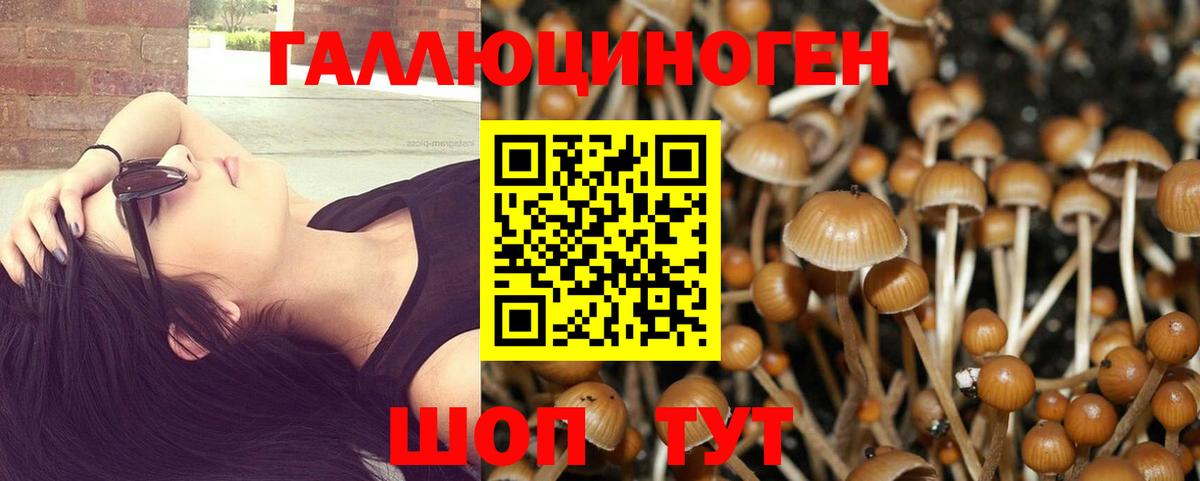 Галлюциногенные грибы Psilocybine cubensis  Карпинск 